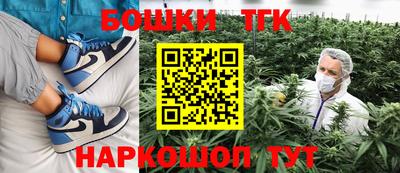 мдпв Славгород