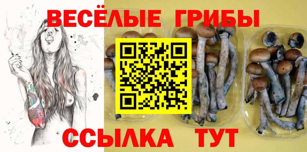 Галлюциногенные грибы мицелий Обнинск