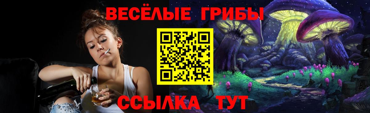 где купить наркоту  Псилоцибиновые грибы ЛСД  Вход с VPN  Обнинск 
